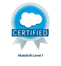 MuleSoft Level 1