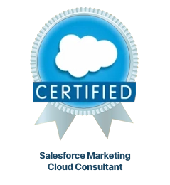 Salesforce Marketing Cloud Consultant